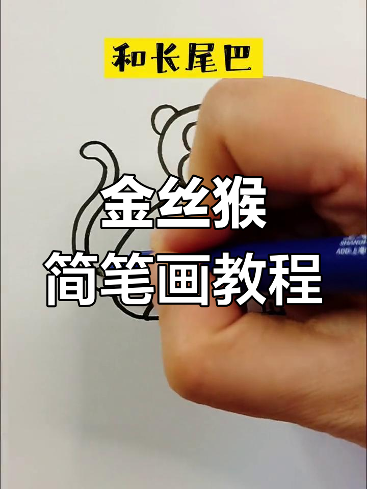 简单步骤画出金丝猴