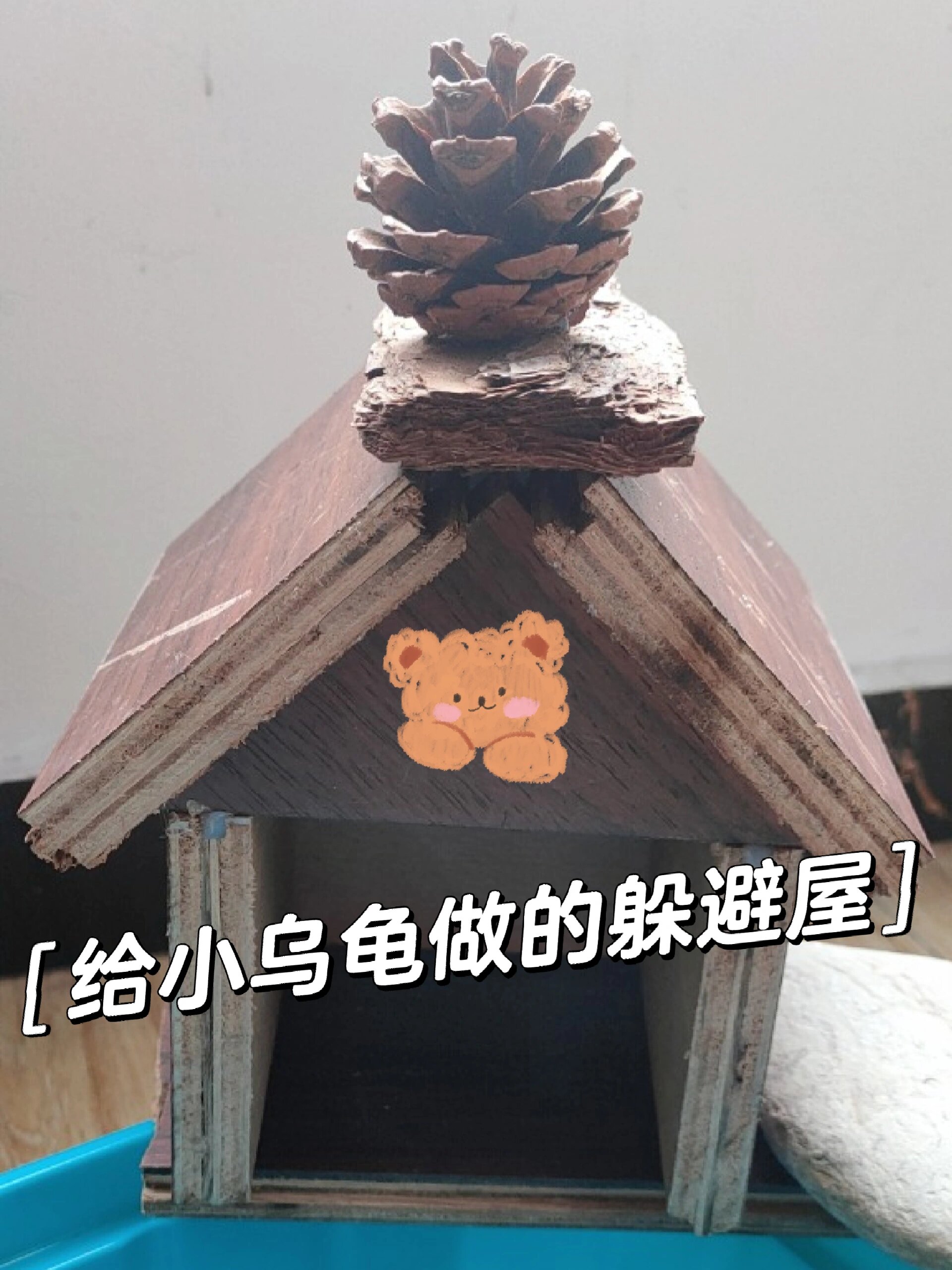 给小乌龟做的躲避屋 可爱的小房子