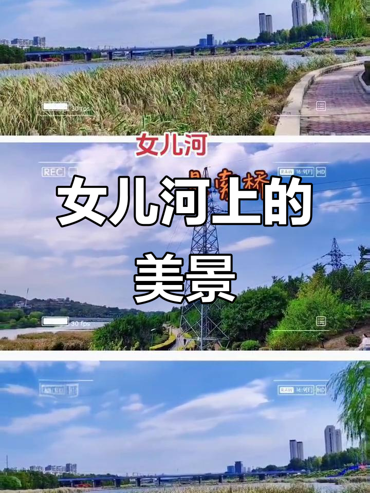 锦州女儿河悬索桥:家乡的风景与回忆