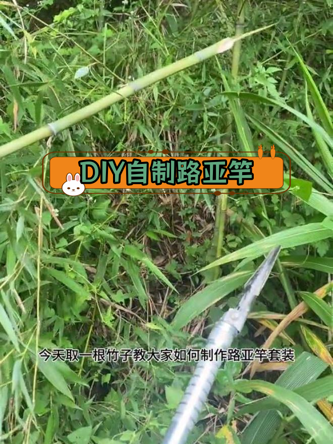 竹子路亚竿diy教程图片