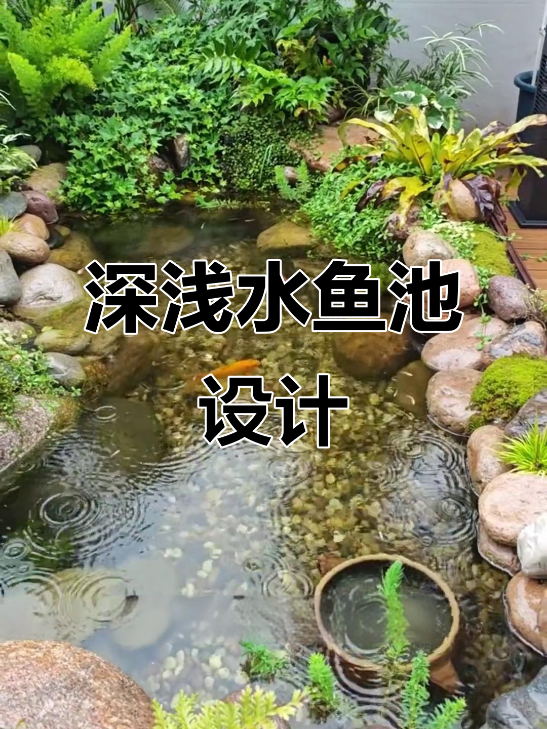 庭院鱼池设计:深浅结合,生态与安全并存