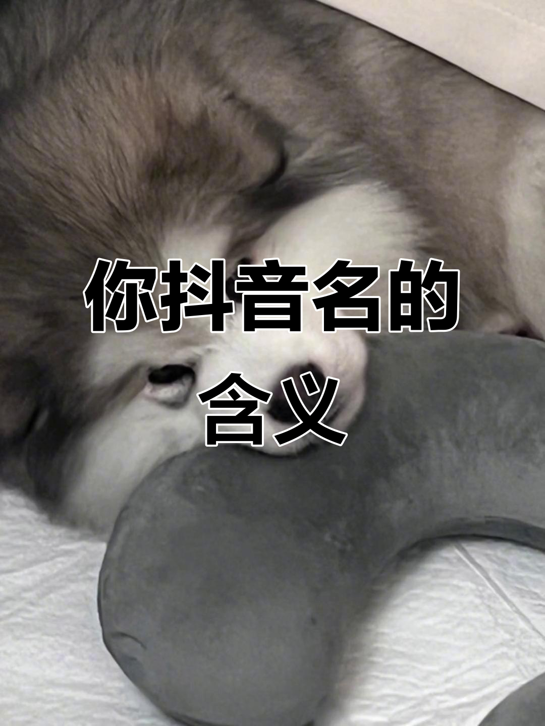 你的故事抖音=歌词你的故事讲到了哪?
