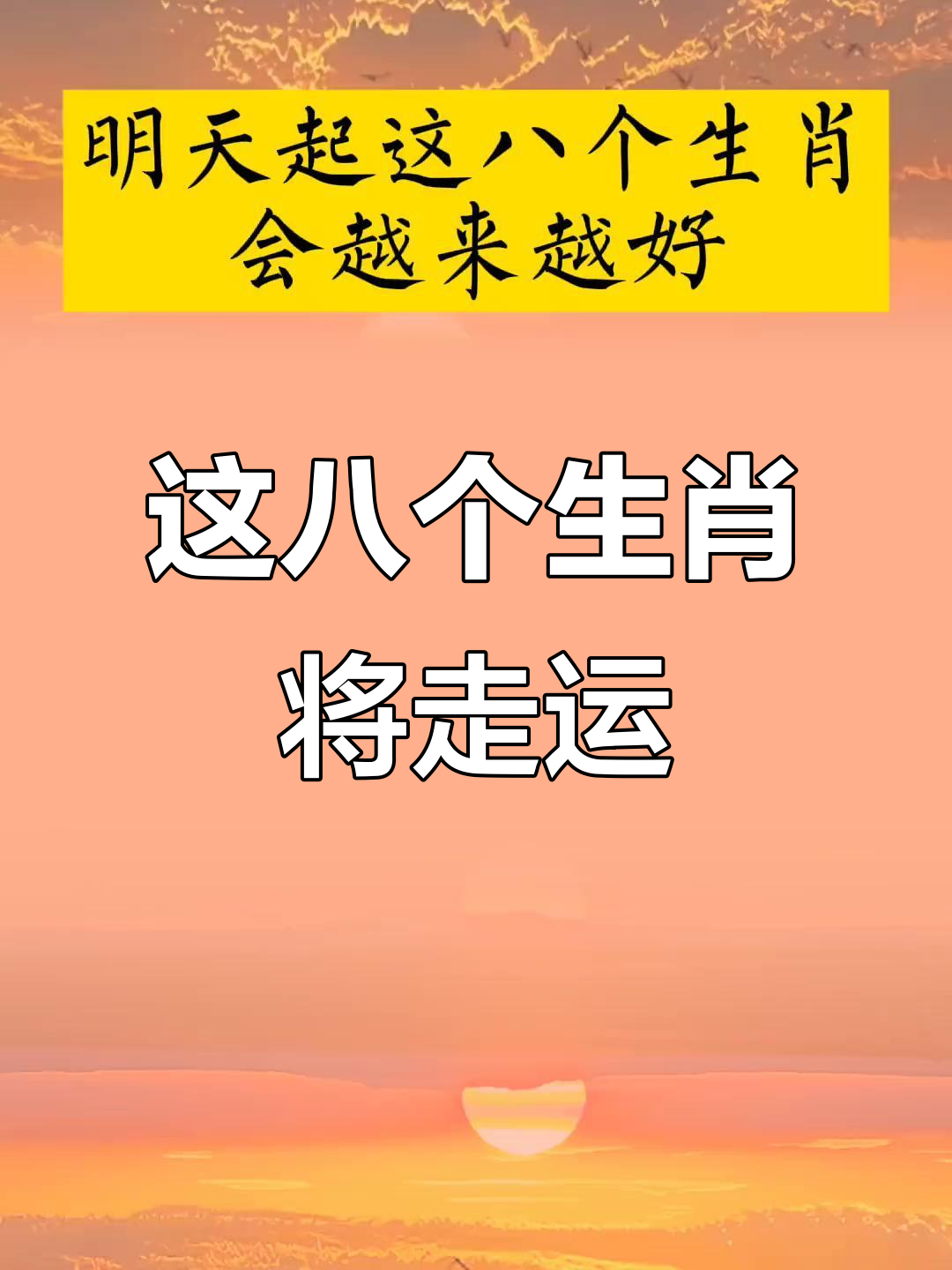 明天生肖运势早报(明天猪价最新行情早报)