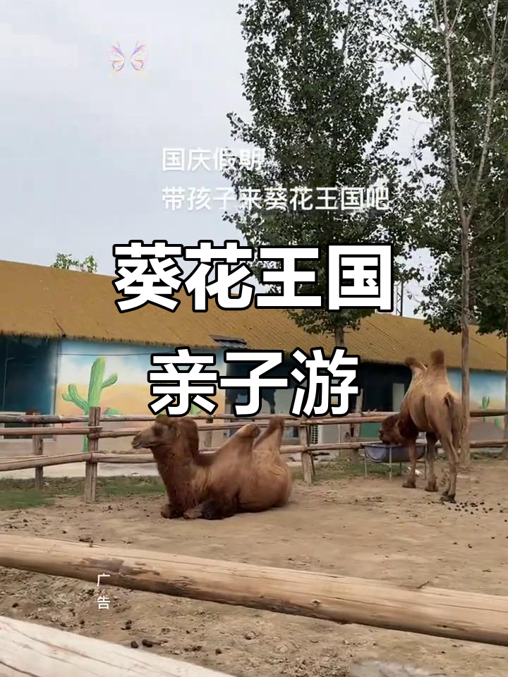 商丘市摄影优惠团购网站_商丘市摄影优惠团购网站地址
