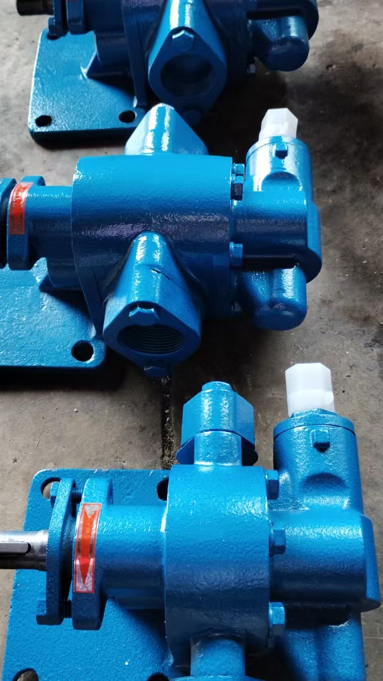 齿轮泵 汽柴油润滑油输送泵 不锈钢菜籽油食用油用泵 高温油泵