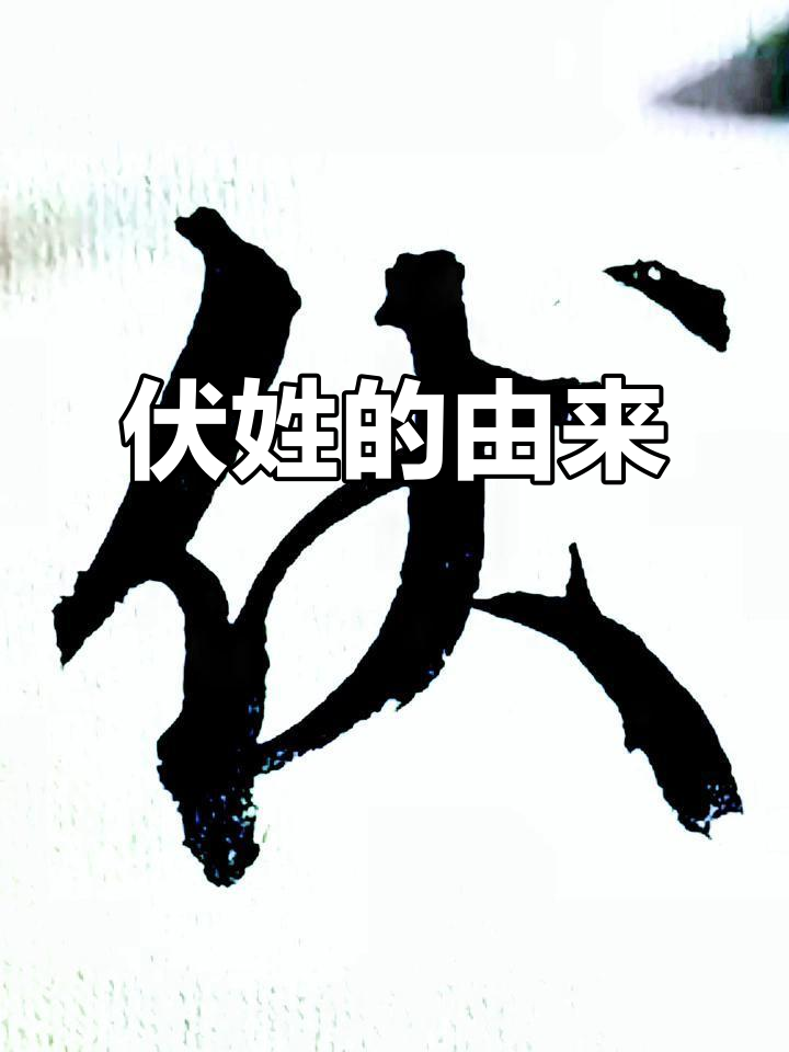 伏姓的历史与文化探源