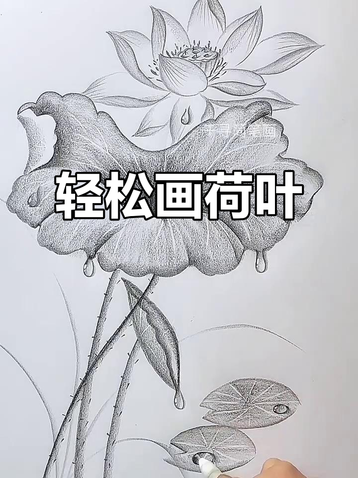 用几笔画出栩栩如生的荷叶,简单又有趣