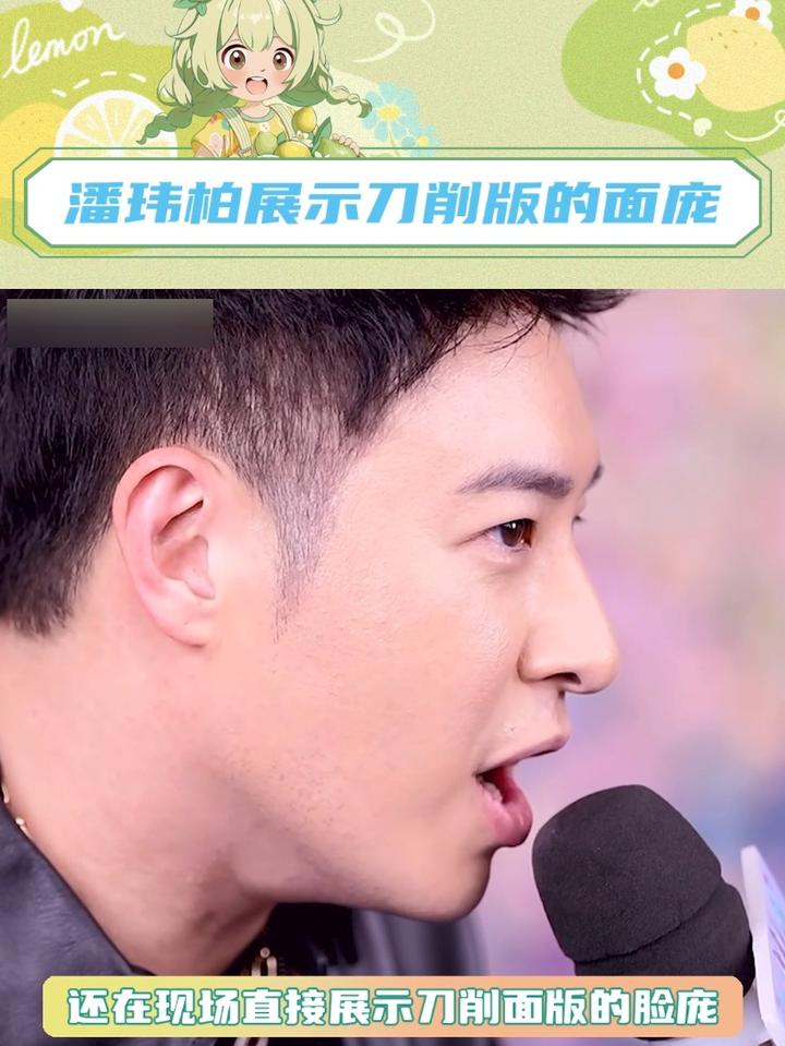 潘玮柏:自己的梗还得自己玩,潘玮柏展示刀削版的面庞