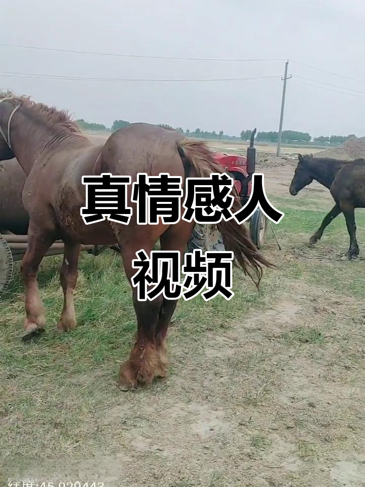 我国首部《民营经济促进法》实施细则今日起正式施行