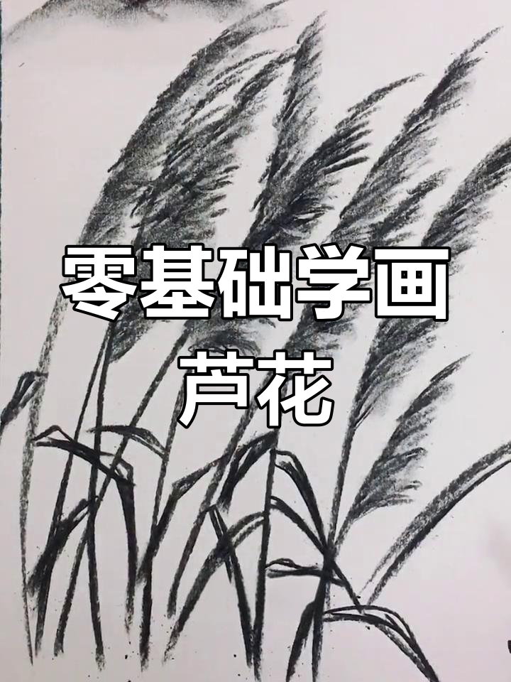 用碳棒绘制芦花技巧