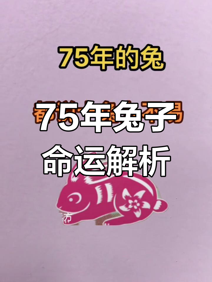 11月5日生肖兔运势怎样(11月5日是什么命运)