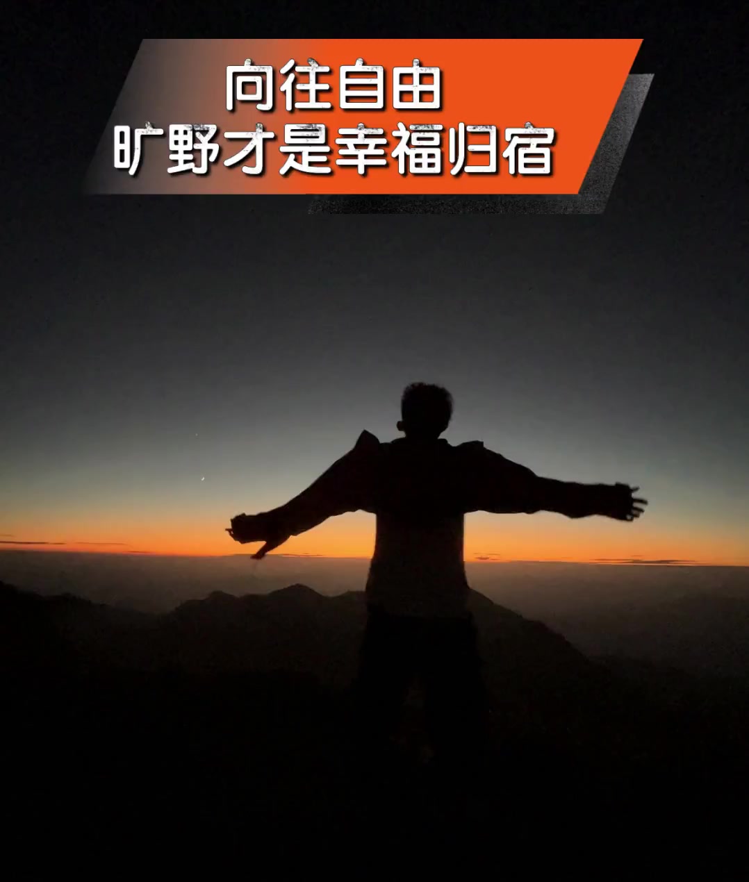 向往自由,旷野才是幸福归宿