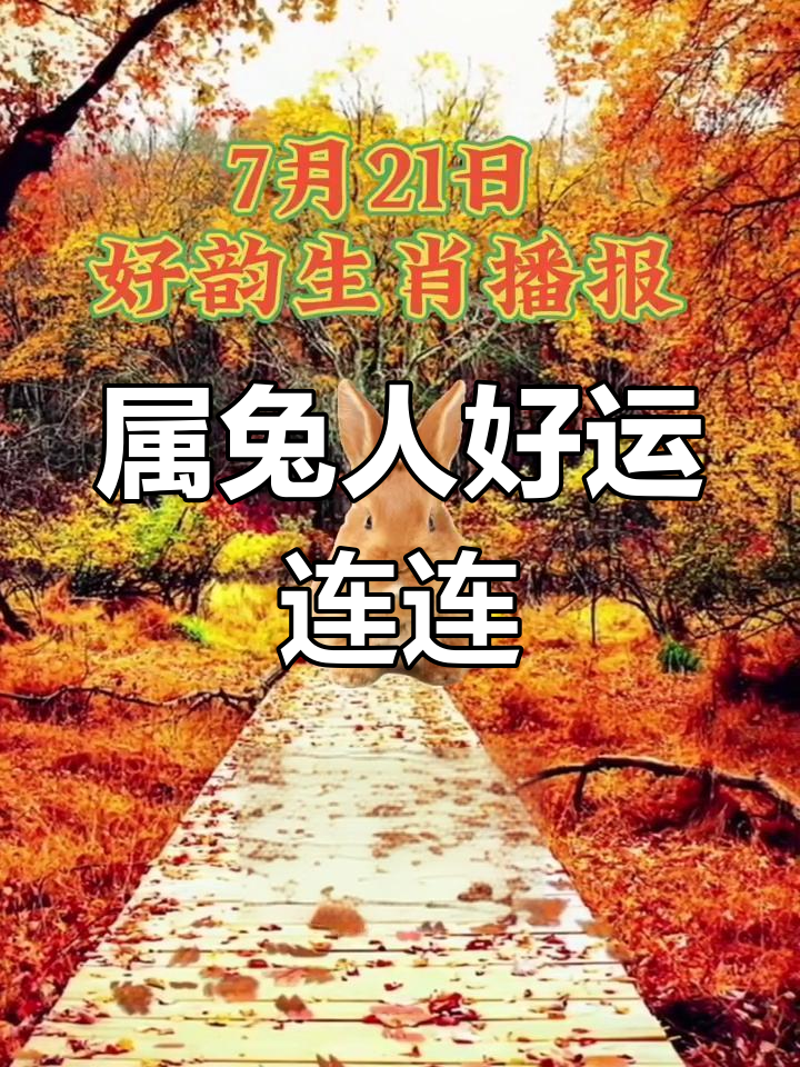 七五年生肖兔男的运势如何(七五年属兔男一生命运如何)