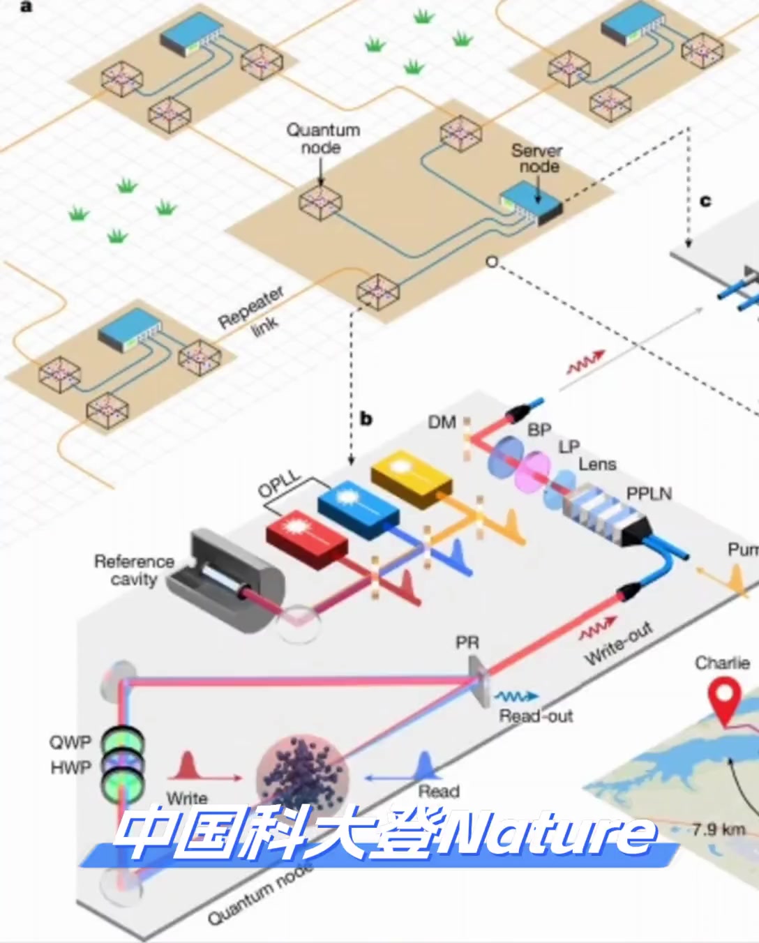 中国科大登nature