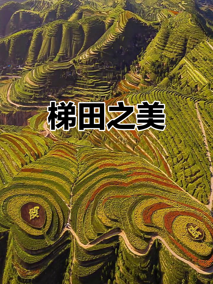 金鸡坪梯田,黄土高原的美丽印记,值得你驻足欣赏!