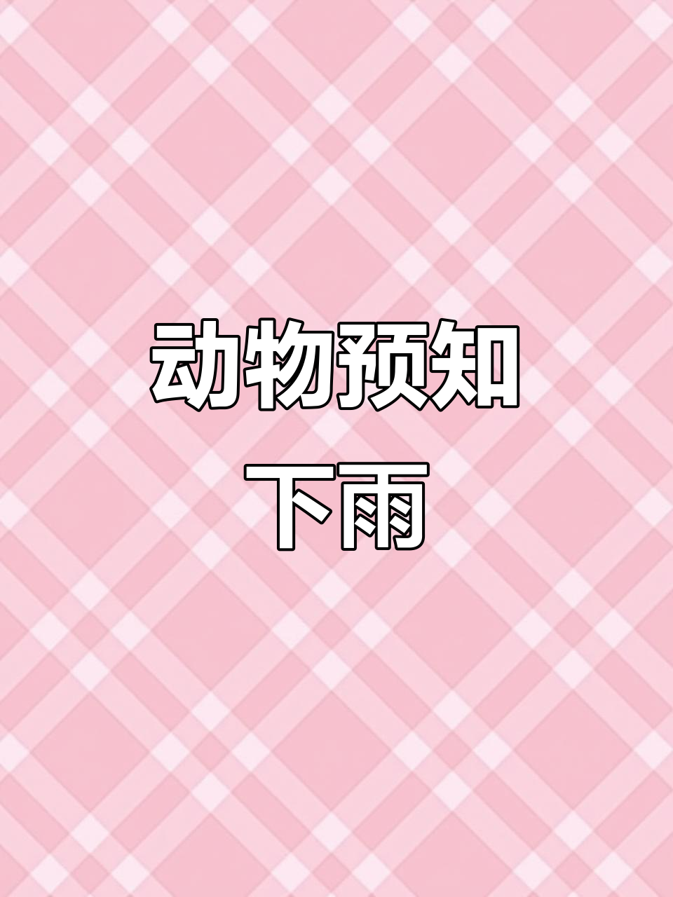 能预报天气的小动物预报 能预报天气的小动物预报