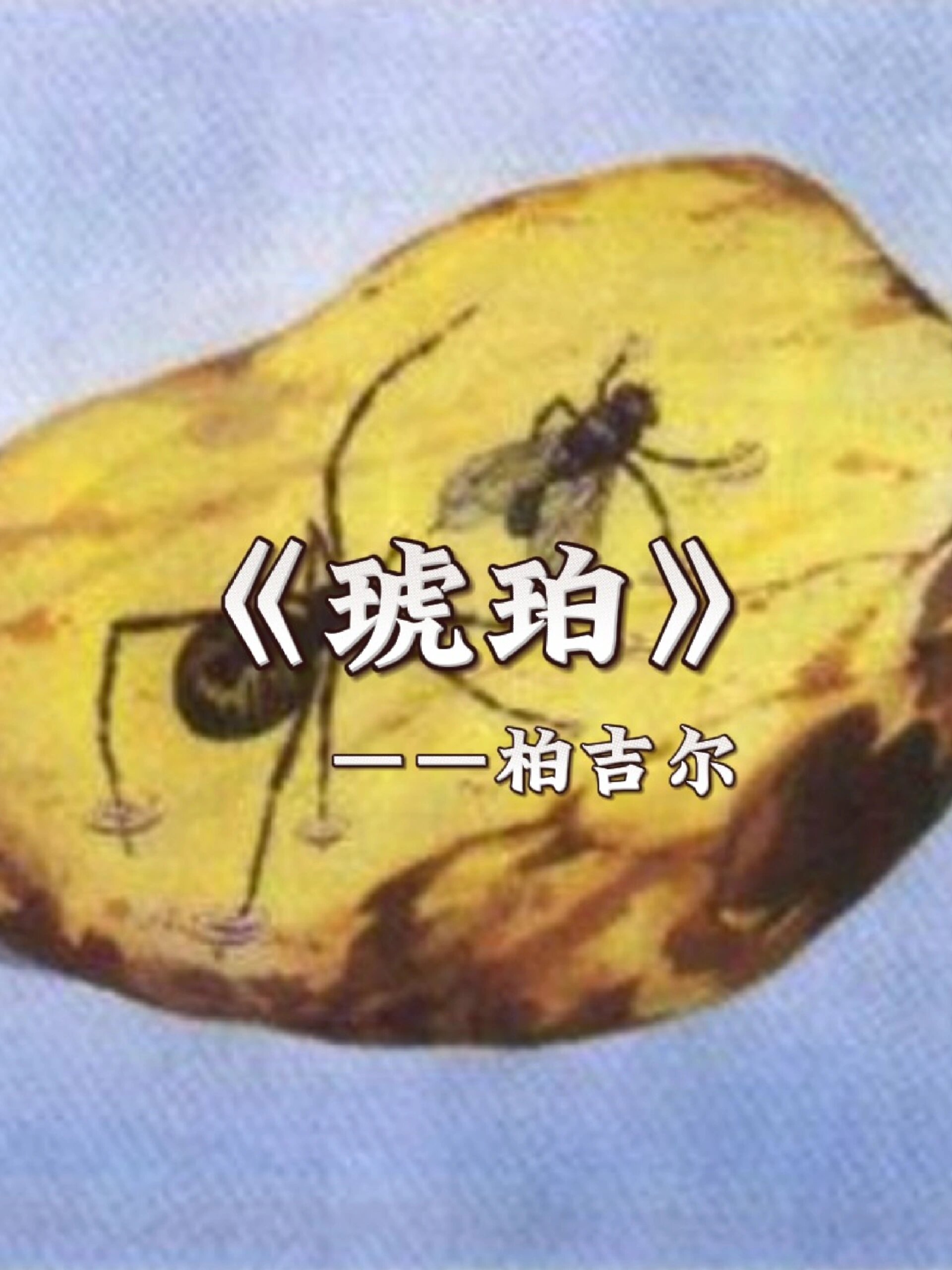 这个故事发生在很久很久以前,约莫算来,总有几万年了.