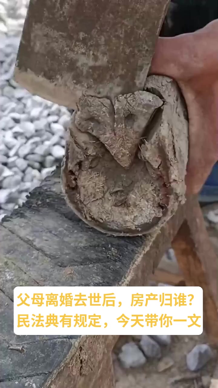 父母死后房子归谁
