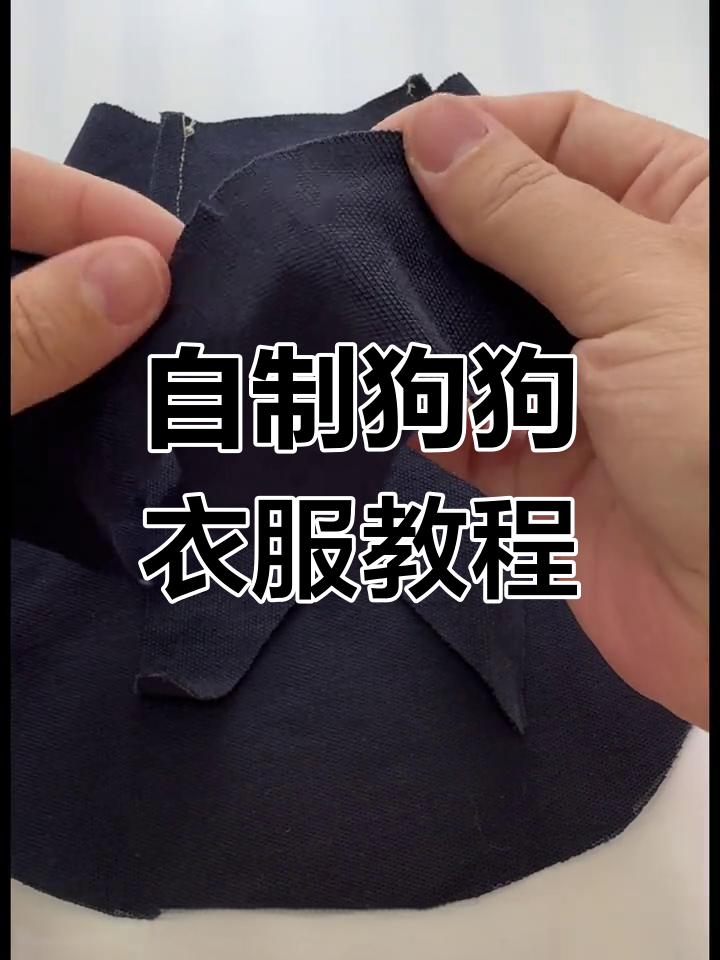 手工制作狗狗衣服全流程,简单步骤教你做可爱服装