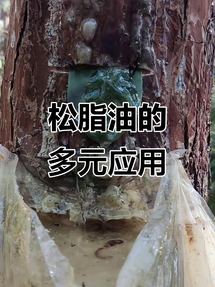 松脂油用途广泛,涉及多个行业
