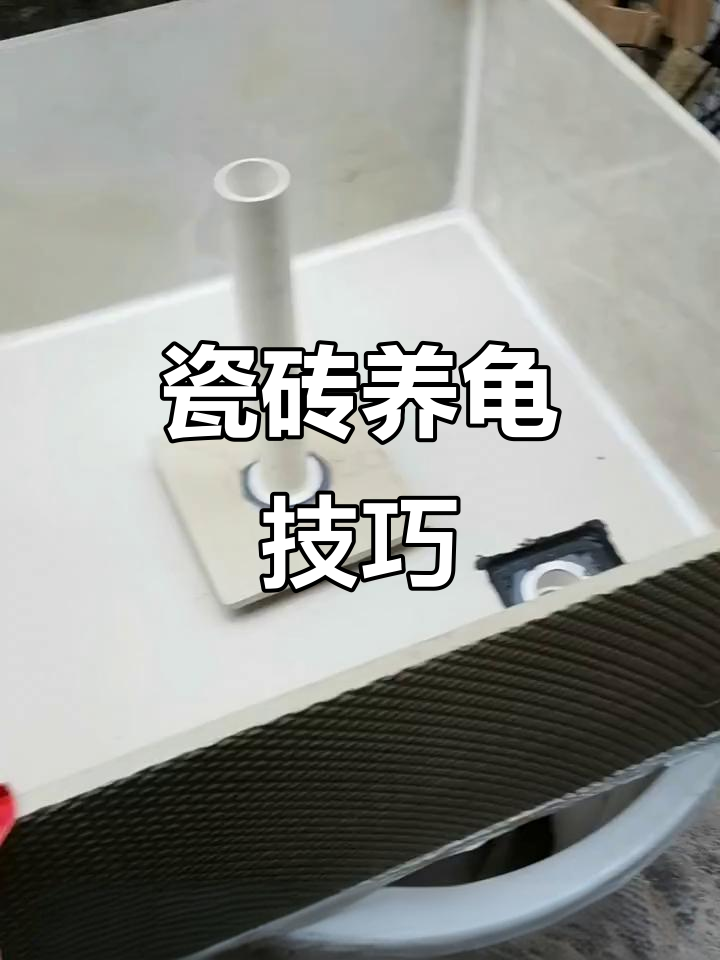 瓷砖龟池教程,轻松掌握!