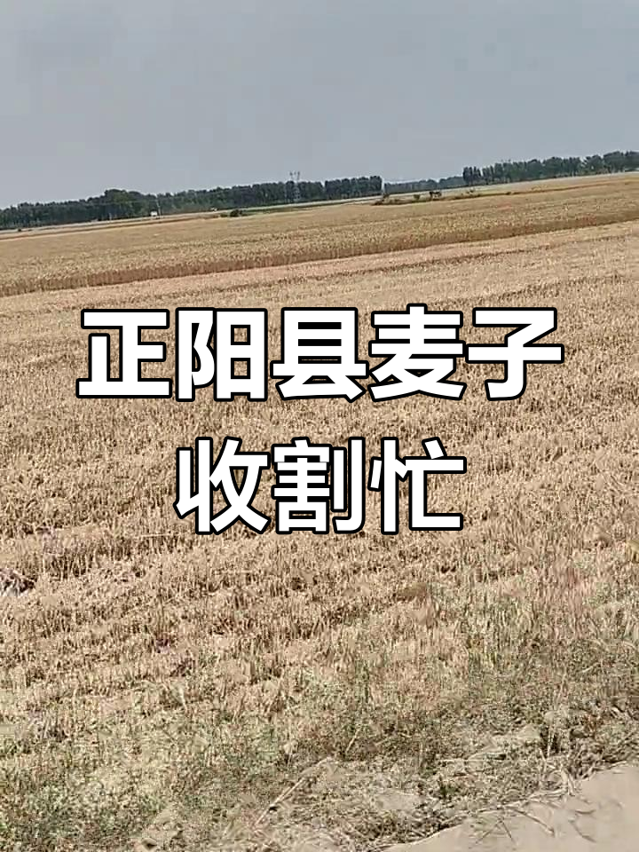 河南省正阳天气预报预报