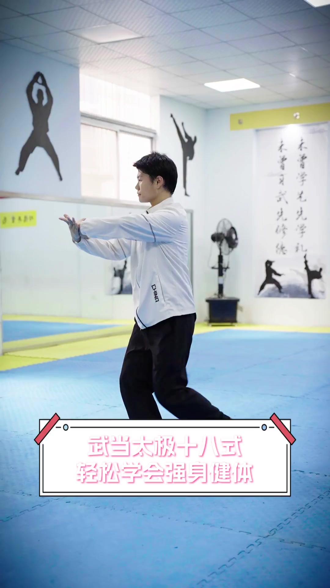 武当养生太极拳教学视频(武当养生太极拳教学 全套分解示范)