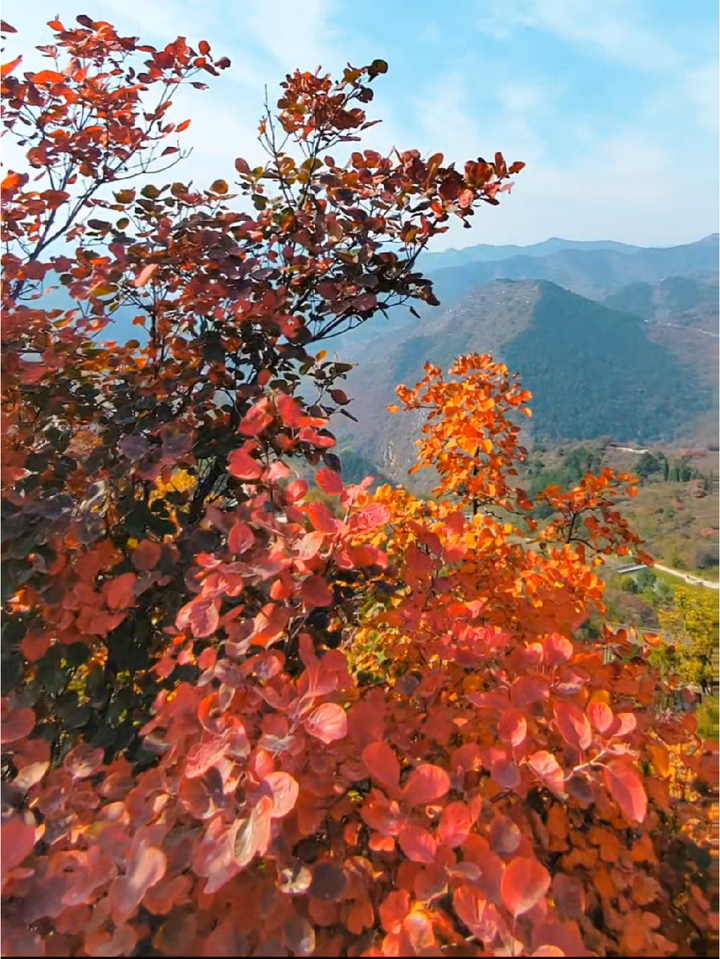 柏尖山,又称林州版的小布达拉宫