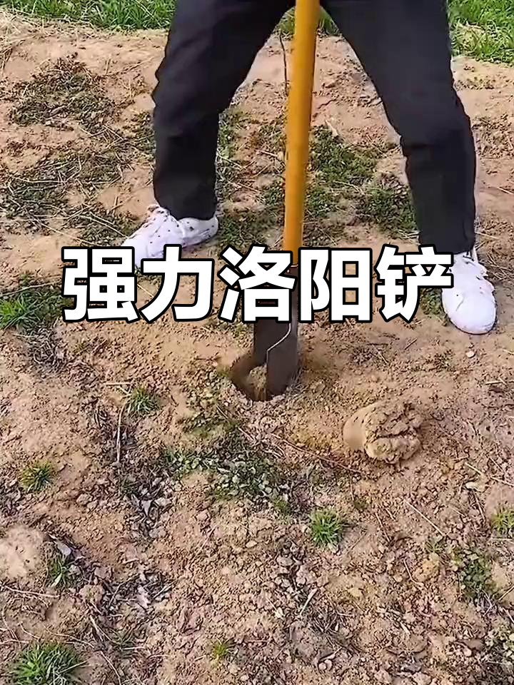 洛阳铲表情图片