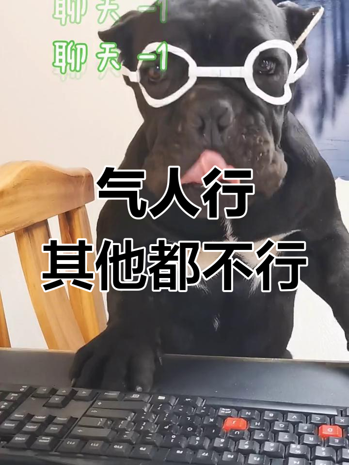 干啥啥不行,吃饭睡觉第一名!气人能力满分