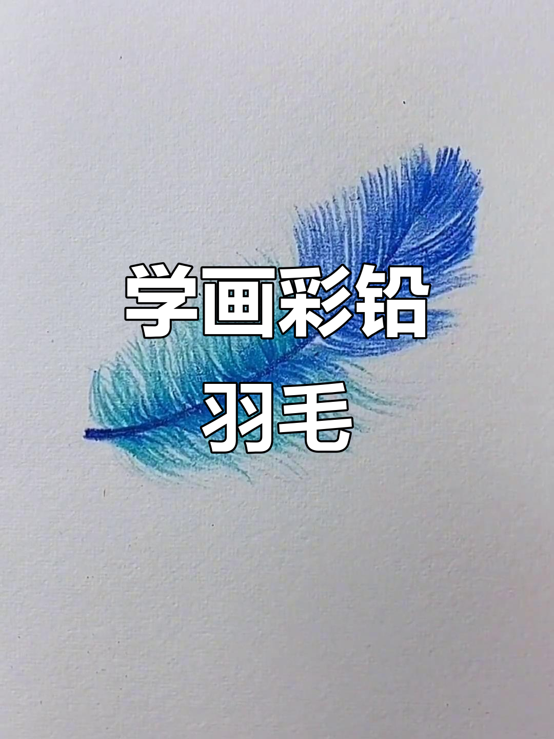 彩铅羽毛绘制技巧,轻松上手!