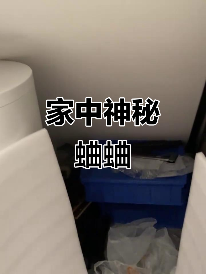 家里为什么会有蟋蟀