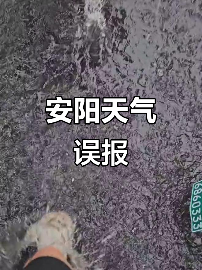 安阳天气预报查询预报