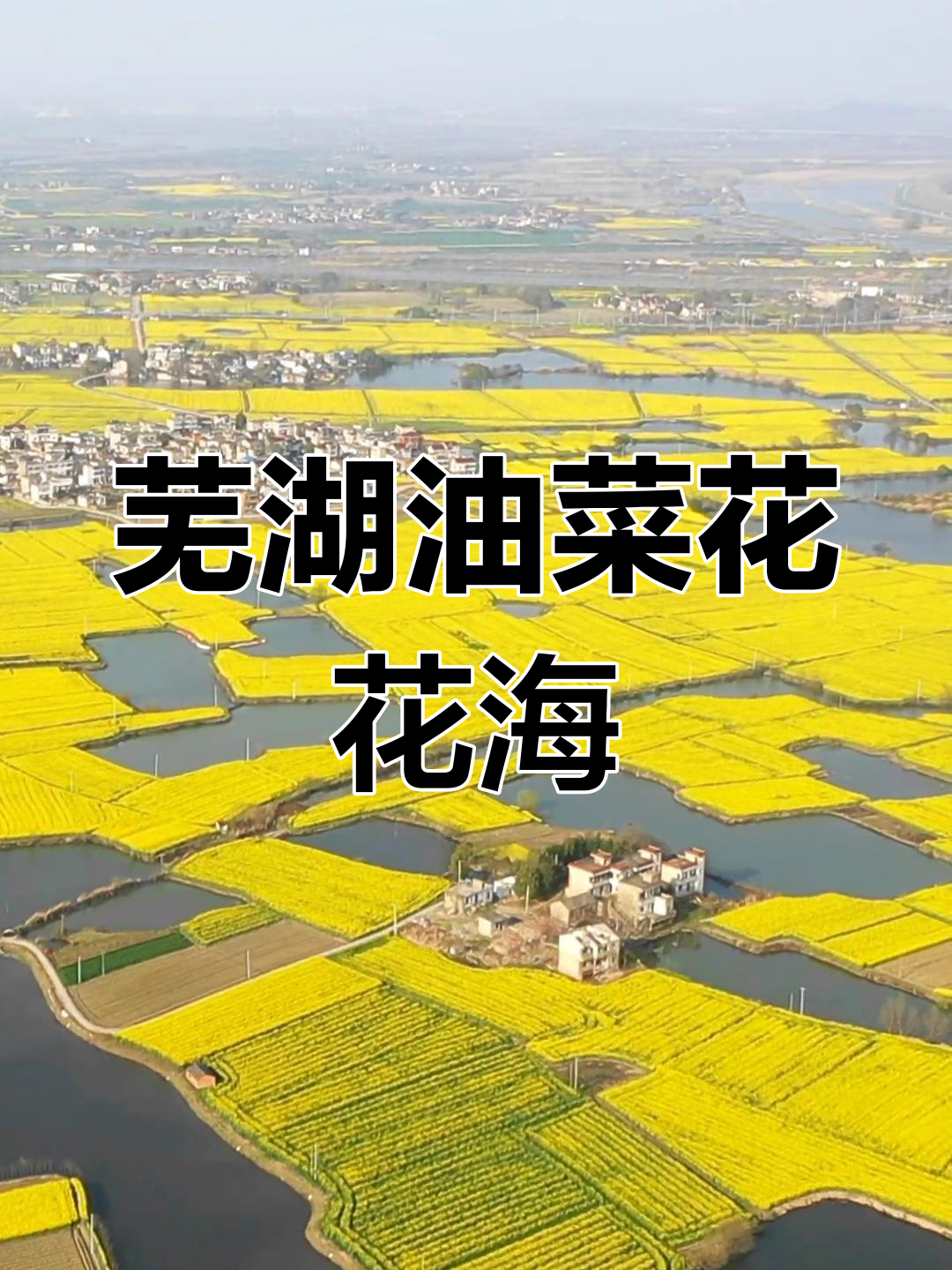芜湖响水涧油菜花海,徽派建筑与自然美景相融