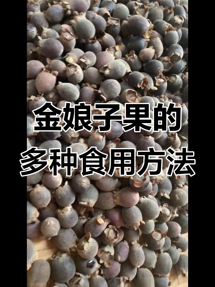 野生金娘子果:泡酒,泡茶,生吃皆宜,营养丰富