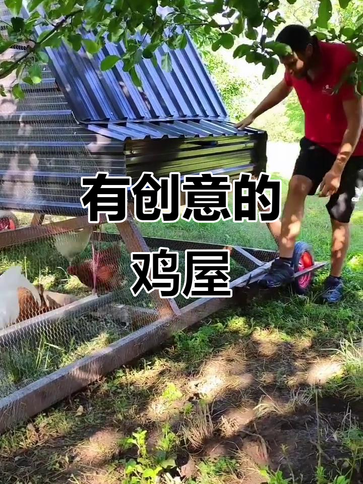 创意鸡屋设计,太有想象力了!