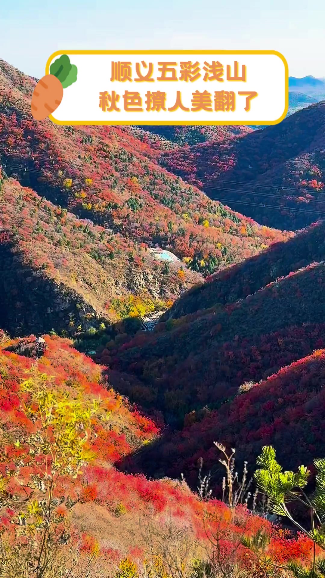 五彩浅山地图图片