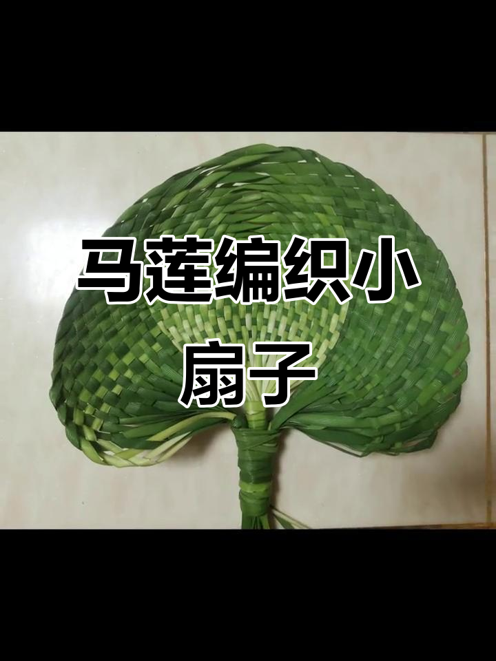 用马莲编扇子,简单又有趣
