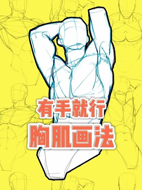 男性胸肌的分解画法!有手就能学会!