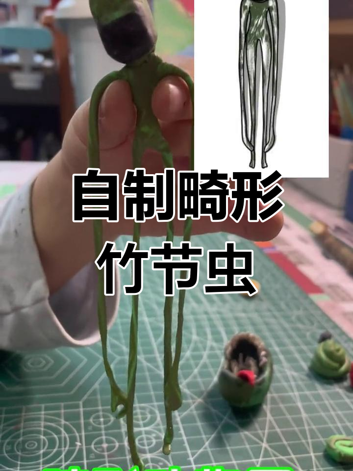 手工制作畸形动物园竹节虫,二次变异后的奇特造型