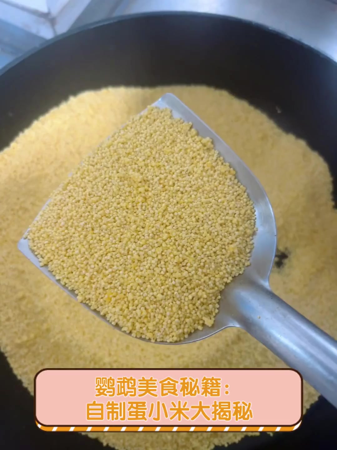 鹦鹉美食秘籍:自制蛋小米大揭秘