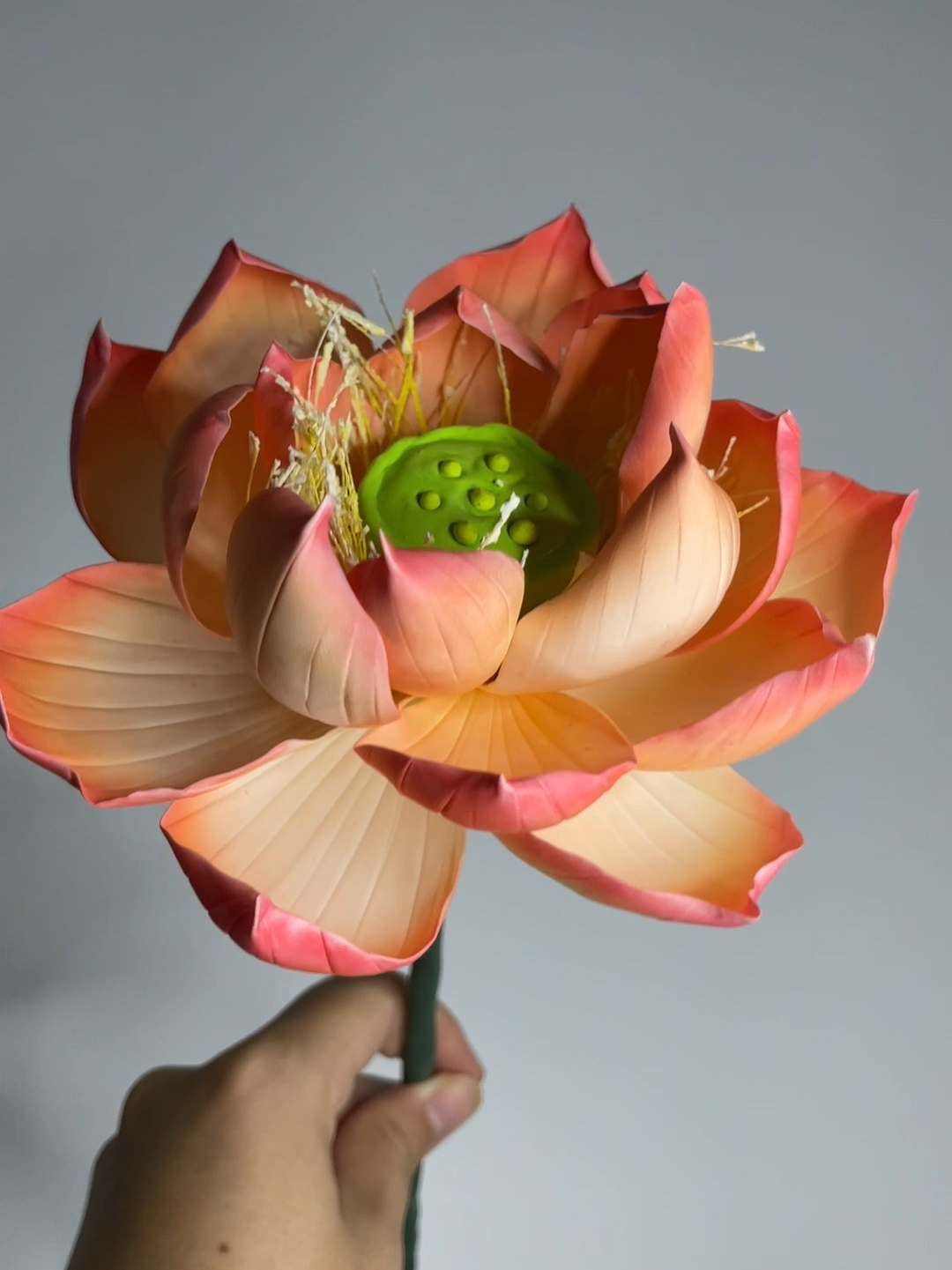 手工黏土荷花教程(花瓣及组装)