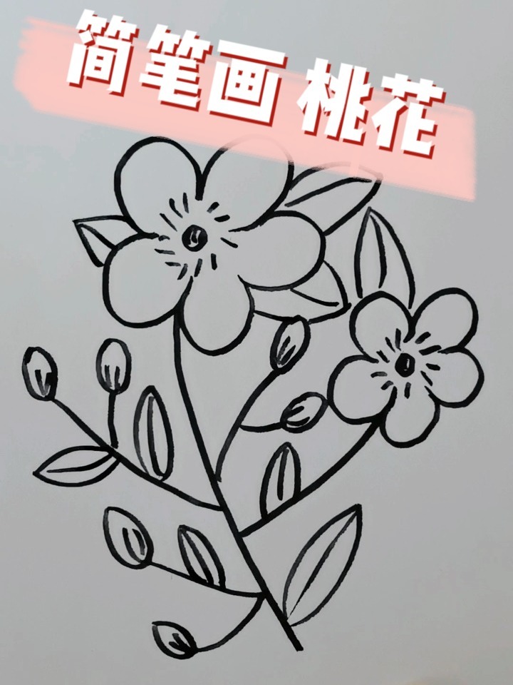 小钱简笔画花卉打卡15 桃花画法