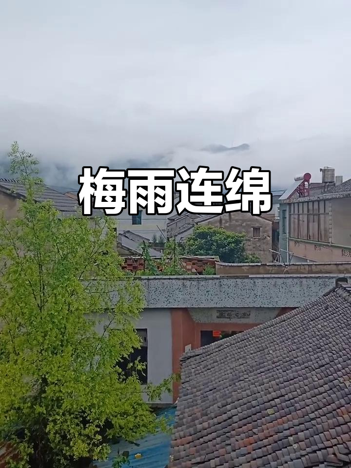 梅雨天气天气大全