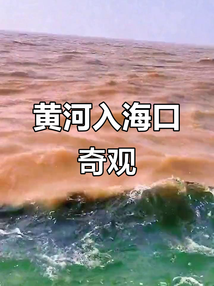 黄河奔流入海,黄蓝交汇,震撼之美无法言喻!