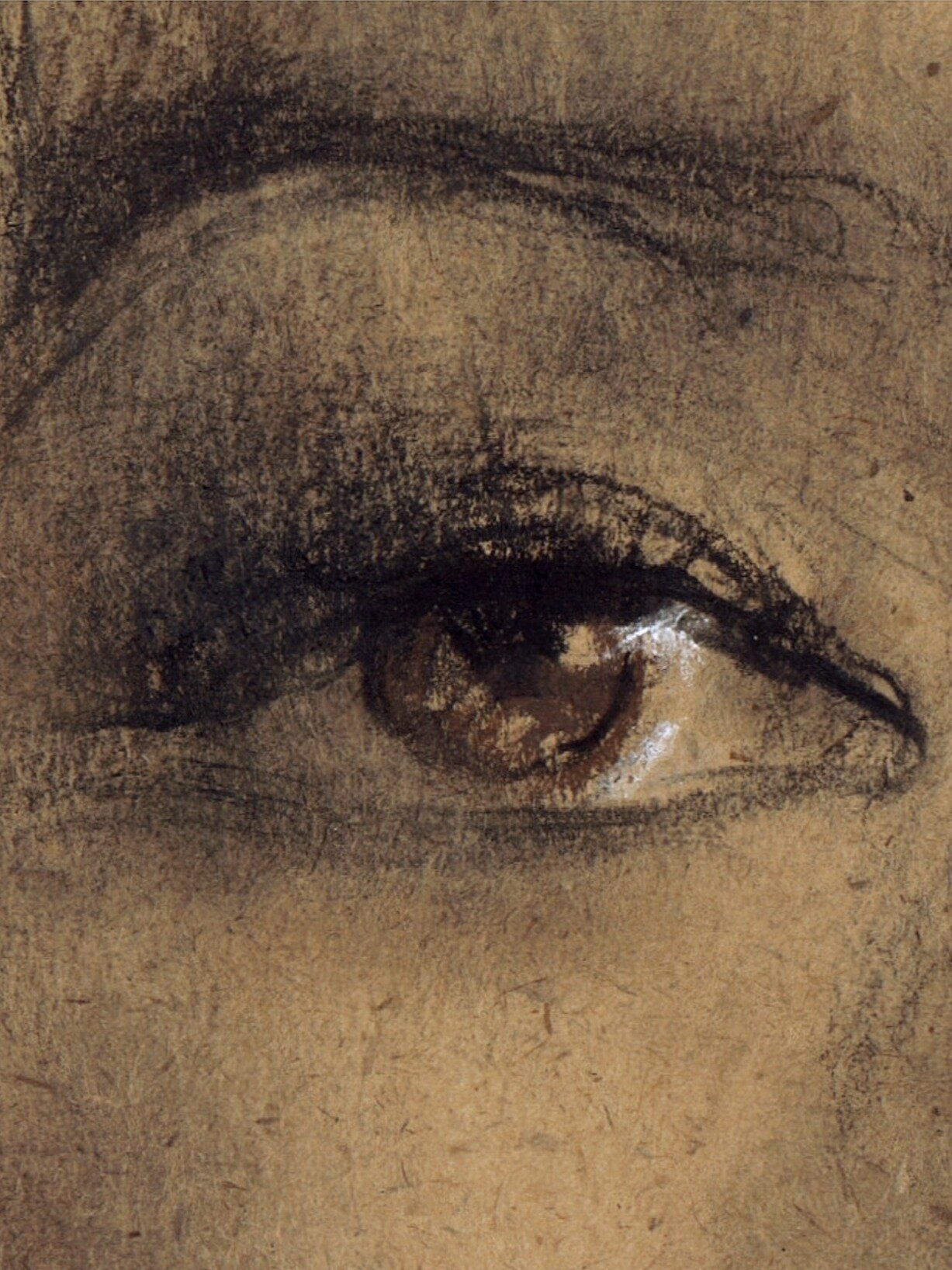 美术生必看素描大师作品—尼古拉·布洛欣