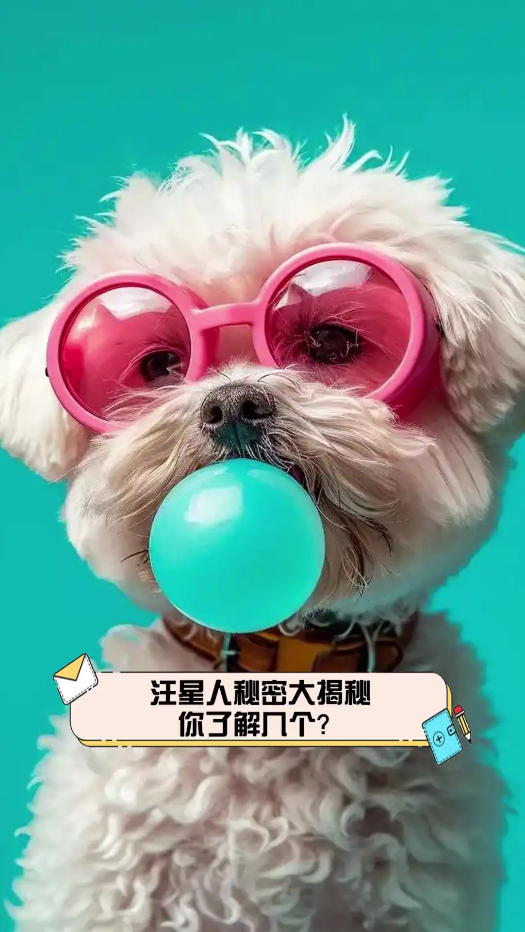 关于汪星人娱乐八卦站的信息 关于汪星人娱乐八卦站的信息（关于汪星人娱乐八卦站的信息有哪些） 娱乐八卦