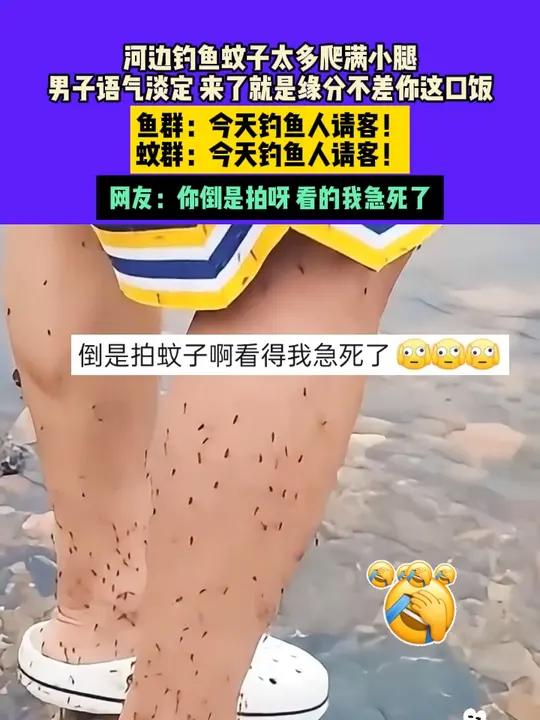 7月13日,浙江(发布),河边钓鱼蚊子太多爬满小腿,男子语气淡定,来了就