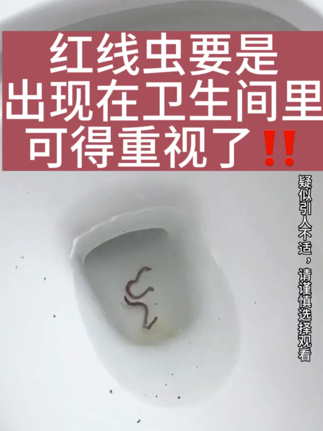 卫生间出现红线虫可得重视了