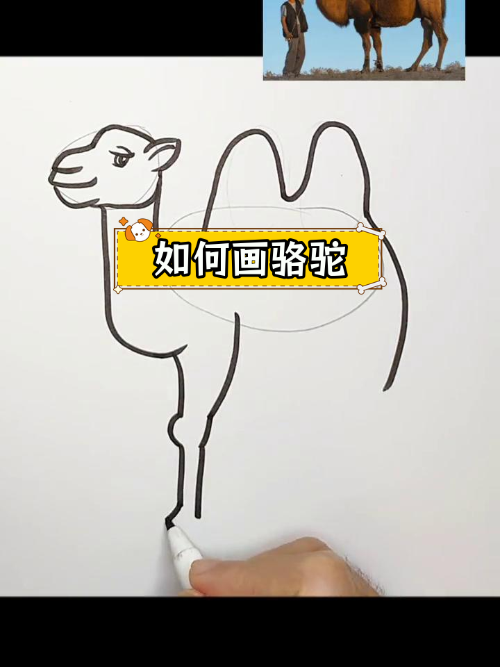 骆驼的简笔画教程